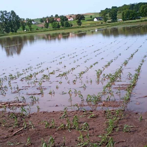 Rada Sołtysów o gradobiciu